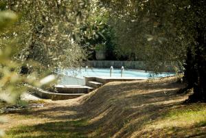 博尔格阿布贾诺Casa del Pino的树木繁茂的公园里一座带楼梯的游泳池