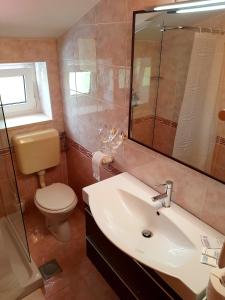 科巴里德Gostišče Jazbec的一间带水槽、卫生间和镜子的浴室