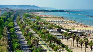 圣贝内代托-德尔特龙托帕特里希奥住宿加早餐酒店的一片棕榈树和水的海滩