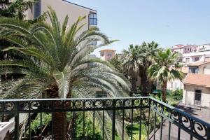 圣贝内代托-德尔特龙托帕特里希奥住宿加早餐酒店的从阳台欣赏棕榈树和建筑的景色