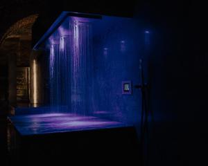 克拉科夫罗萨博得酒店的黑暗的房间里,紫色灯的淋浴