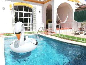 拉戈斯Marreiro's house Algarve - Child friendy - Private Pool的游泳池里的天鹅充气天鹅