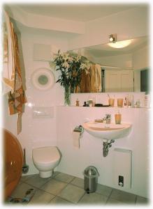 宾茨夏风公寓的粉红色的浴室设有卫生间和水槽