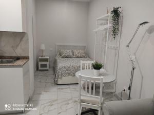 马德里Estudio 2 personas Wifi fácil acceso centro de Madrid的卧室配有一张床和一张桌子及椅子