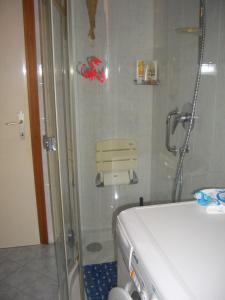 博尔扎诺Bozen Mitte的浴室里设有玻璃门淋浴