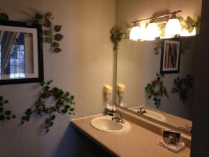 科达伦贝内特湾旅馆的一间带水槽和镜子的浴室