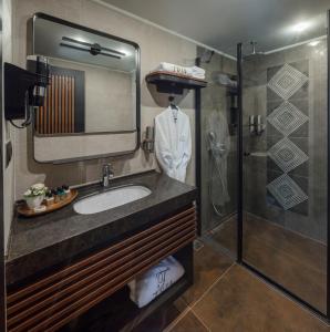 伊斯坦布尔伊斯坦布尔特里亚酒店的一间带水槽和淋浴的浴室