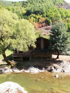 里巴里卡Семеен хотел Федора的一条树木繁茂的河流旁的小小屋