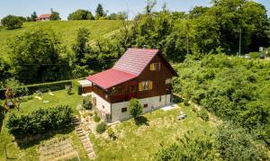PihovecVita Natura with sauna and jacuzzi的山坡上一座红色屋顶的房子