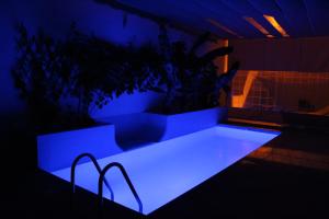 Valle de San LorenzoCASA EL OLIVO, TENERIFE的一间设有蓝色灯光浴缸的客房,浴缸内装有植物