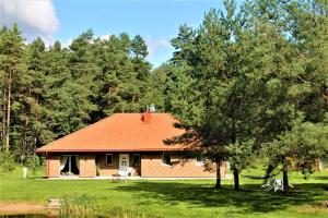 LebeniškiaiForest house for family的田野上一座带橙色屋顶的房子