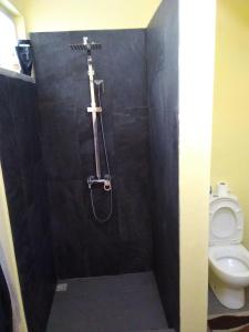 路易港Manuel's Apartment的浴室配有淋浴和卫生间。