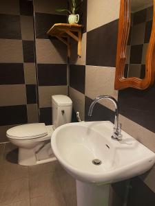 埔里红砖642民宿 的浴室配有白色水槽和卫生间。