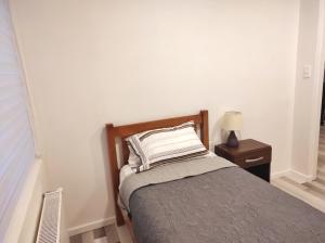 蓬塔阿雷纳斯Casa nueva, excelente ubicación的一间卧室配有带枕头和床头柜的床
