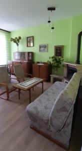 格利维采Apartament Kasztanowy的客厅配有床和沙发
