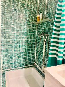 图卢兹Studio des Carmes的绿色瓷砖浴室设有淋浴和水槽