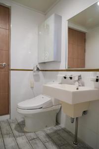 西归浦市君姆海桑帕克特尔度假屋的一间带卫生间、水槽和镜子的浴室