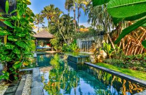 勒吉安勒吉安塔克苏别墅的棕榈树花园中间的游泳池