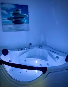 里登瑞奇弗杜纳艾尔贝酒店的画室里的白色浴缸