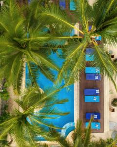 江比阿Casa Paradis的棕榈树度假村的空中景致