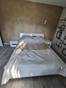 卢扎ALDO comfort的一间卧室设有一张大床和两个床头柜