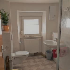 森海姆Haus Engelskrug的一间带卫生间和水槽的浴室