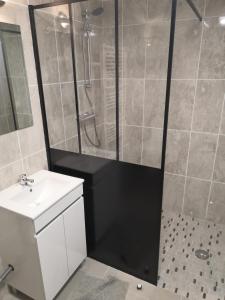 埃格勒通Studio Bellevue的带淋浴、卫生间和盥洗盆的浴室