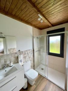 里瓦德塞利亚APARTAMENTOS LOS MANZANOS的浴室配有卫生间、盥洗盆和淋浴。