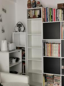 尼斯CHAMBRE CHEZ L'HABITANT - ROOM IN THE OWNER'S APARTMENT的装满书籍的白色书架和电视