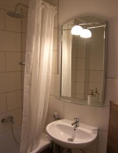 奥尔登堡Quartier am Campus的浴室配有盥洗盆和带镜子的淋浴