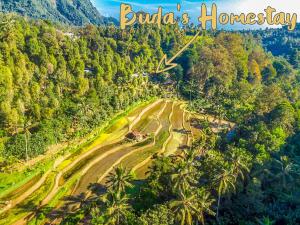布莱伦Buda's Homestay Lemukih的森林中道路的空中景观