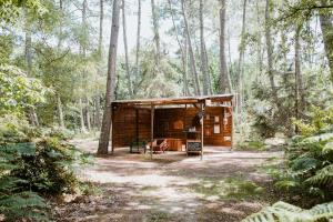 ClefsTiny Stay - Ecolodge的森林中间的小木屋