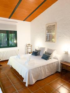 科尔多瓦La Buganvilla的一间卧室配有带白色床单和蓝色枕头的床。