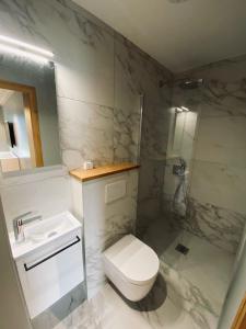 DoucyCHALET CONFIDENTIEL VALMOREL - Chalet de Haut de Gamme 4 étoiles 12 personnes的浴室配有卫生间、盥洗盆和淋浴。