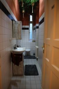柏林Apartment Lodge 61的一间带水槽和卫生间的浴室