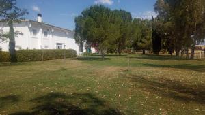 IppocampoHenry Agriturismo Manfredonia的一座大院子,有白色的房子和树木