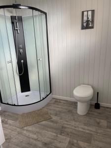 SormeryL’échappée belle的一间带玻璃淋浴和卫生间的浴室