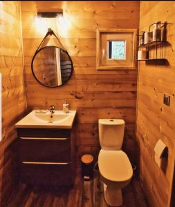 DiebolsheimGîte aux Deux Chênes的一间带水槽、卫生间和镜子的浴室
