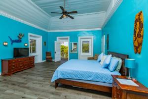 FrederikstedVictoria House的蓝色卧室配有床和吊扇