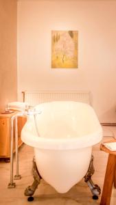 阿尔巴尤利亚Elma Guesthouse的配有白色浴缸的带绘画的浴室