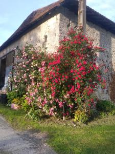 PillacMaison de campagne à la ferme的建筑物一侧的粉红色花丛