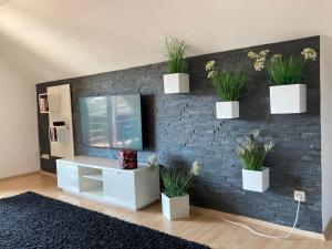 施派尔Ferienwohnung Finkenschlag的砖墙上种植了盆栽植物的客厅