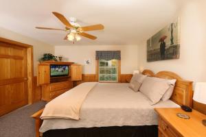 鸽子谷Holly Grove #1的一间卧室配有一张床和吊扇
