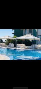 索佐波尔栀子度假公寓的一个带遮阳伞和椅子的游泳池