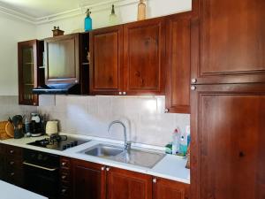 克拉尼斯卡戈拉Holiday House Jasna的一个带木制橱柜和水槽的厨房
