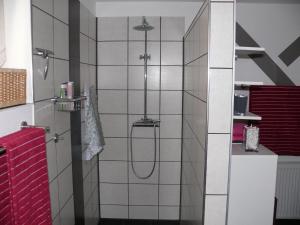 EhrenbergFerienwohnung Natur-Pur的浴室铺有红色和白色瓷砖,设有淋浴。