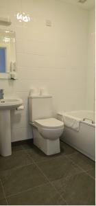 Annagry凯斯琳奥尔酒店的浴室配有卫生间、盥洗盆和浴缸。