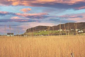 乌伊格Skye Holiday Chalets C1的一片高大的草场,有房子和山地背景