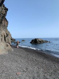 斯特龙博利La Rosamarina的站在海洋附近的岩石海滩上的孩子
