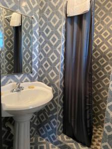 萨凡纳Carole Motel的一间带水槽和淋浴帘的浴室